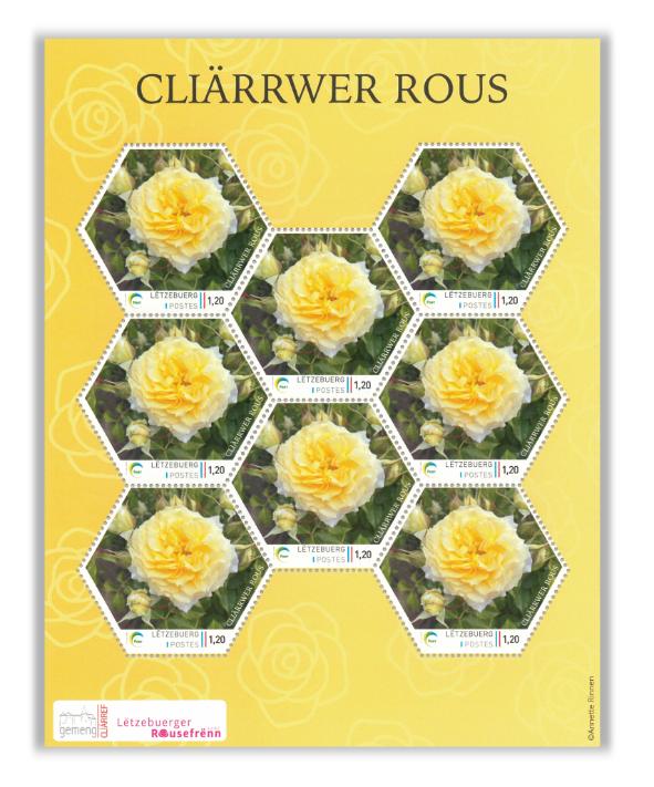 Cliärrwer Rous - Bogen