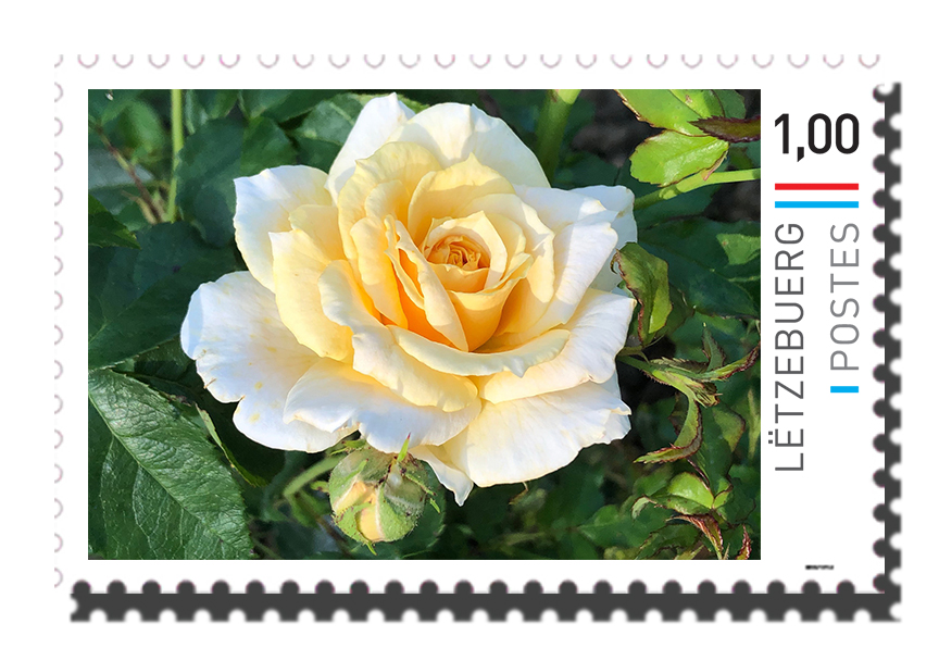 Lady in Gold-Gelle Fra - Stamp