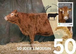Karte meng.post - 50 Joer Limousin