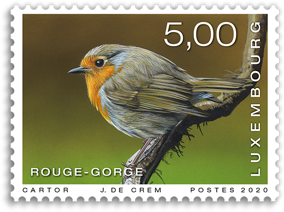 Birds - robin