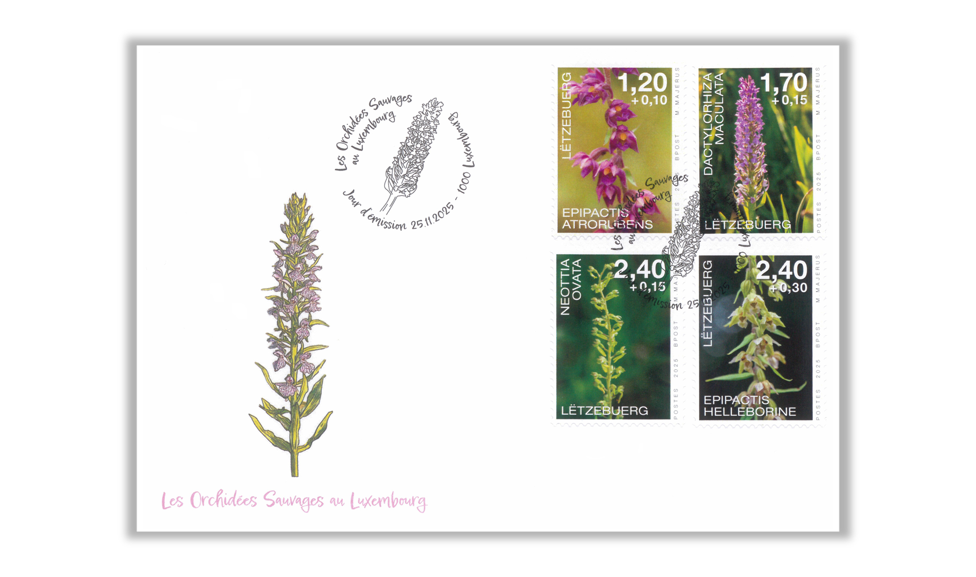 FDC - Bienfaisance 2025: Orchidées-4