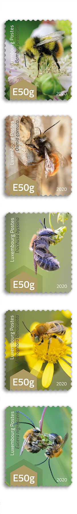 Serie Wildbienen 2020 [E50g]