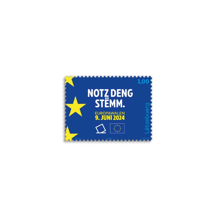 European elections 2024