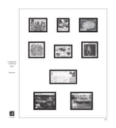 SAFE 2025 - LU - Complement