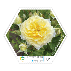 Cliarrwer Rous - Briefmarke
