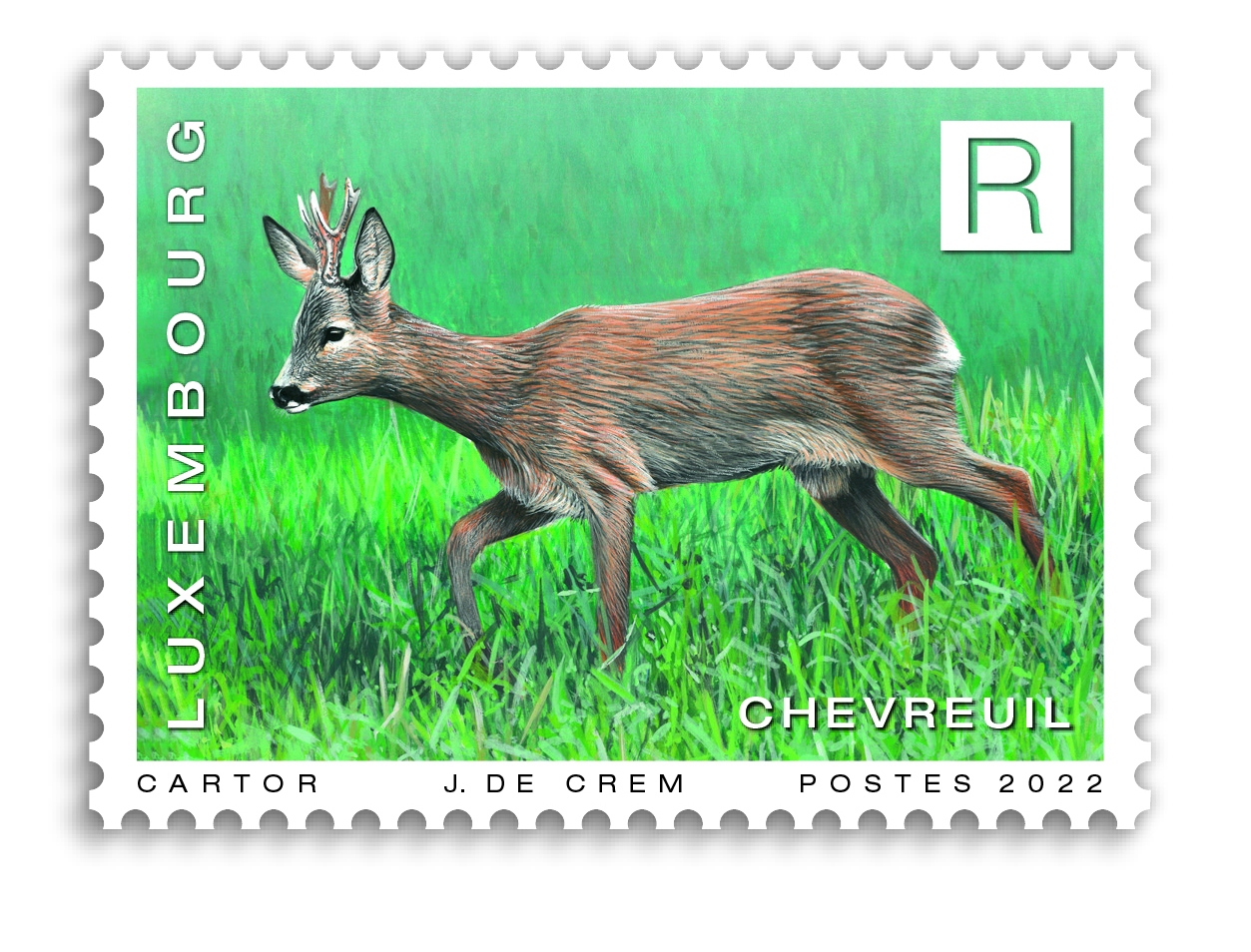 animals - Deer [R]
