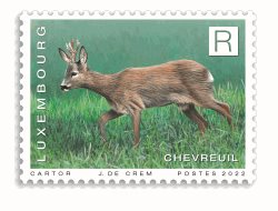 Tiere - Reh [R]