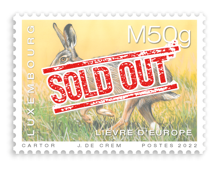 Tiere - Hase [M50g]