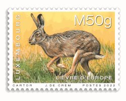 Tiere - Hase [M50g]