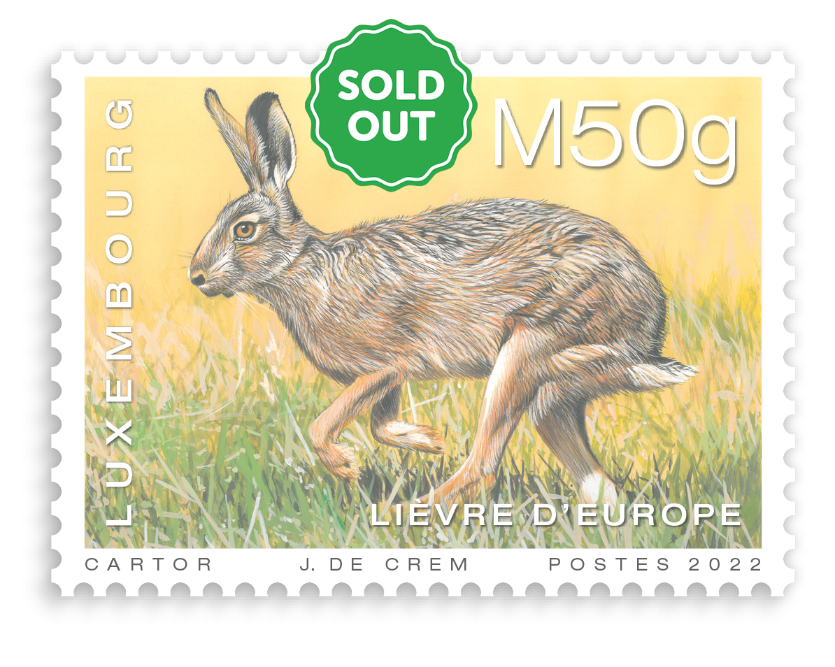 animaux - lievre d'Europe [M50g] - SoldOut