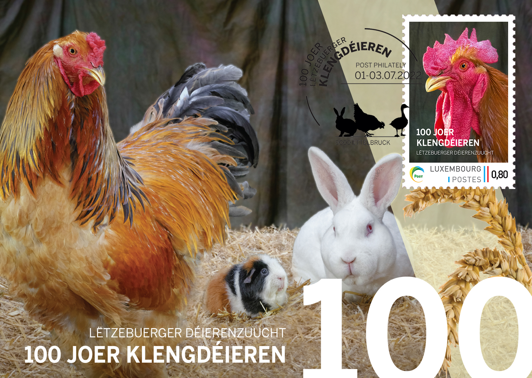 Karte meng.post - 100 Joer Klengdéieren