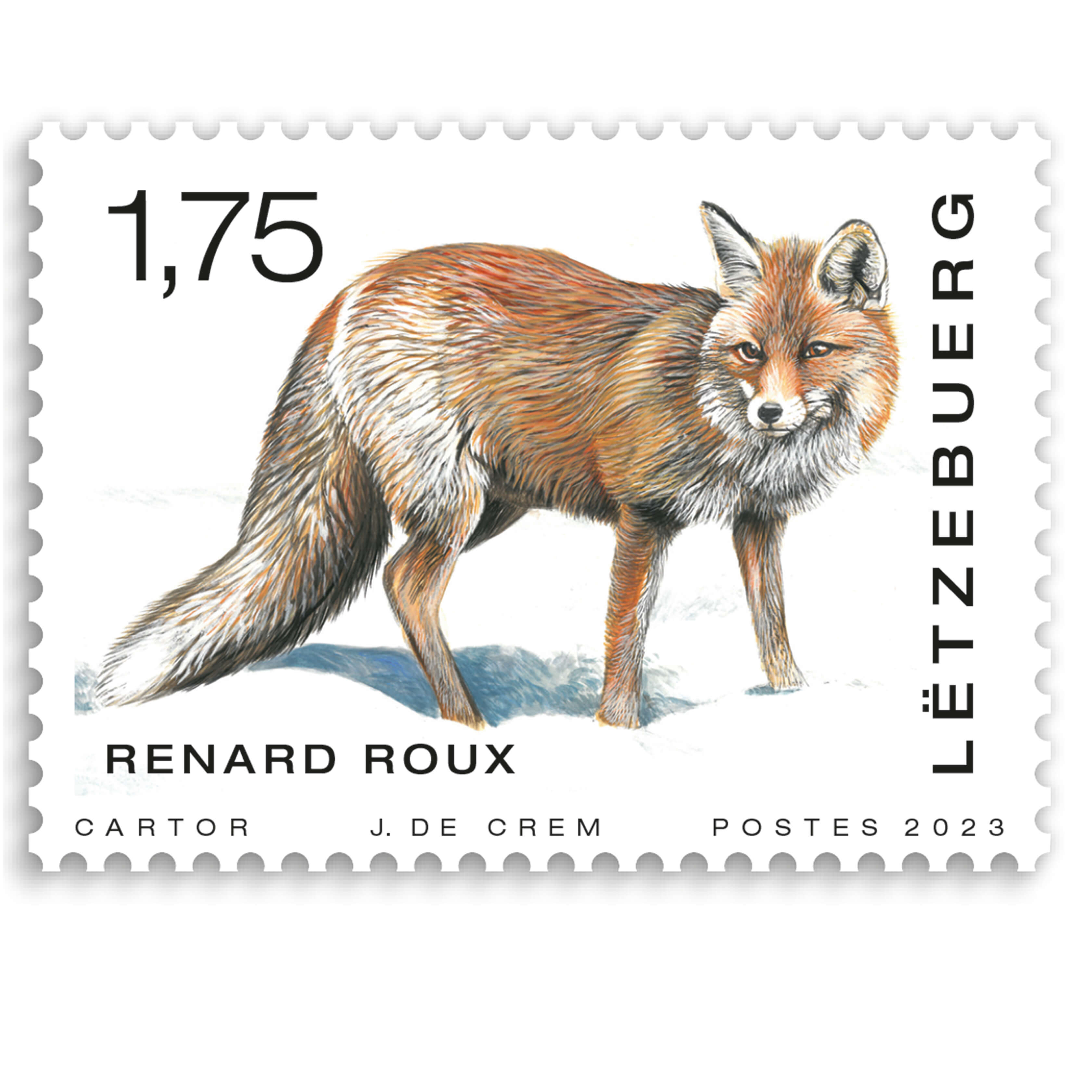 Animaux - Renard roux