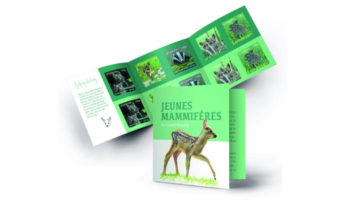Booklet Young wild mammals 2024 [L50g]
