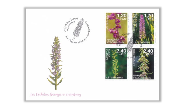 FDC - Wohlfahrt 2025: Orchideen-4