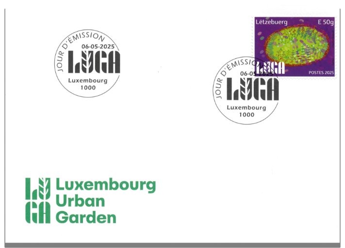 FDC - LUGA 2025