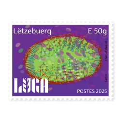 LUGA - Luxembourg Urban Garden [E50g]