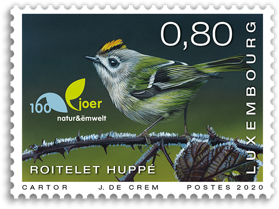 100 years Natur & Ëmwelt - goldcrest