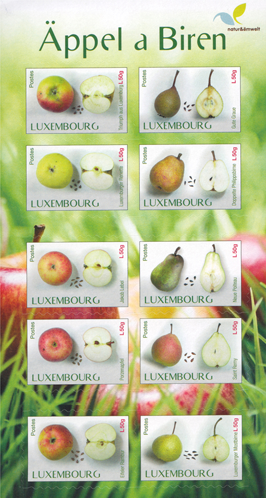 pear varieties chart